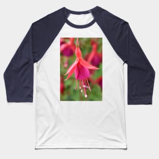 Fuchsia  &#39;Pink Fizz&#39; Baseball T-Shirt